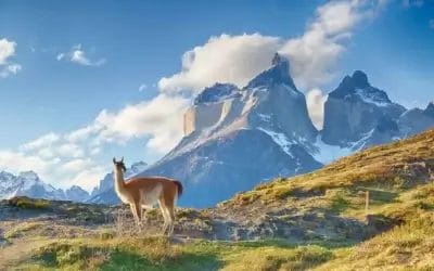 Argentina vs Chile: Andes Climate Guide